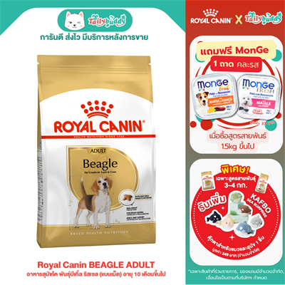 Royal Canin BEAGLE ADULT อาหารสุนัขโต พันธุ์บีเกิ้ล รัสเซล (แบบเม็ด) อายุ 10 เดือนขึ้นไป (3 kg , 12kg)