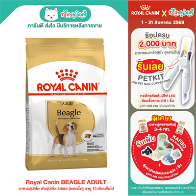 Royal Canin BEAGLE ADULT อาหารสุนัขโต พันธุ์บีเกิ้ล รัสเซล (แบบเม็ด) อายุ 10 เดือนขึ้นไป (3 kg , 12kg)