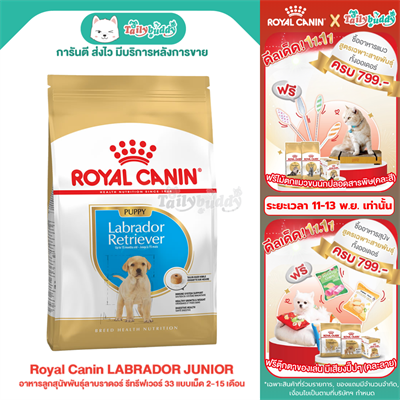 Royal Canin LABRADOR RETRIEVER PUPPY อาหารลูกสุนัขพันธุ์ลาบราดอร์ รีทรีฟเวอร์ 33 แบบเม็ด 2-15 เดือน