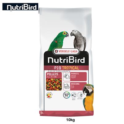 (EXP:26/07/2023) Nutribird P19 สูตรทรอปิคอล (เม็ดสี) สำหรับนกพ่อแม่พันธุ์ นกผลัดขน  (10kg)