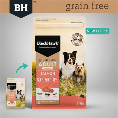 BlackHawk Dog Adult (Grain-Free) Salmon อาหารสุนัขโฮลิสติก สูตรปลาแซลมอน สำหรับสุนัขผิวแพ้ง่าย ความน่ากินสูง