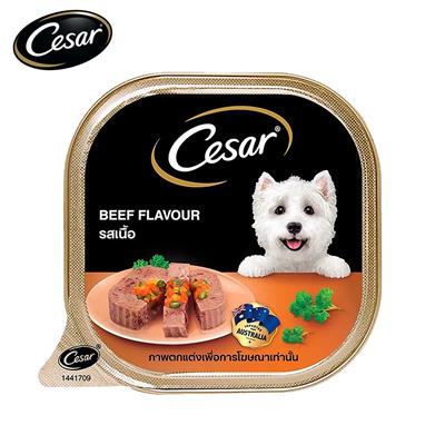 Cesar Beef  flavor  (100g.)