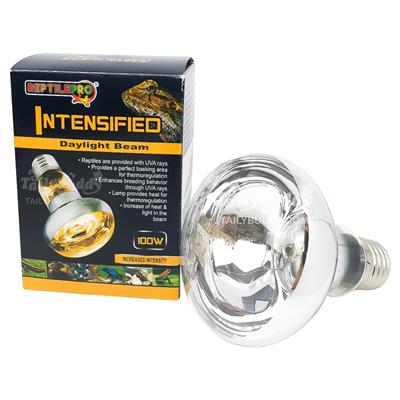 Reptilepro Intensified daylight beam หลอดไฟ UVA ให้แสงสว่างและความร้อน กระตุ้นการผสมพันธุ์และการย่อย (100W)