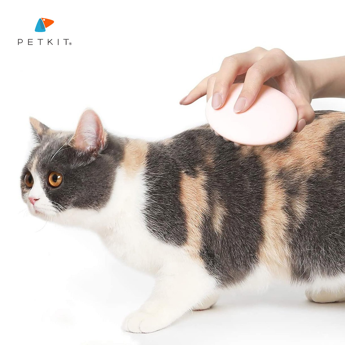 PETKIT EVERCLEAN MASSAGE COMB - หวีแปรงขนแมว แปรงนวดซิลิโคนคุณภาพดี ช่วยให้สัตว์เลี้ยงผ่อนคลายขณะหวีขน