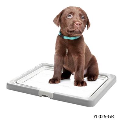 Kanimal Dog Tray ถาดรองฉี่สุนัข รุ่น Classic ไม่มีตะแกรง (Size M) (55x45x3cm) (สีเบจ/สีเทา)