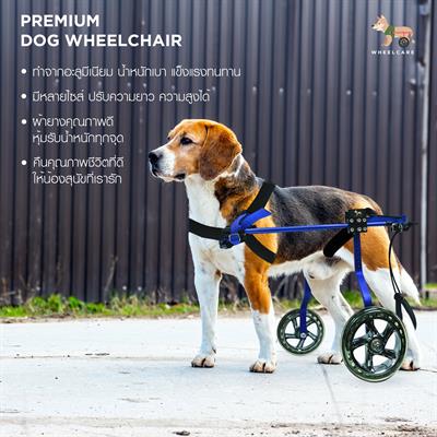 WHEELCARE - wheelchair dog วีลแชร์สุนัข รถเข็น สำหรับสัตว์พิการขาหลัง ทำจากอลูมิเนียมอัลลอยด์ คุณภาพสูง มีหลายขนาดปรับได้ตามรูปร่างของสัตว์เลี้ยง (สีน้ำเงิน WB-1)