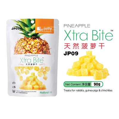 Jolly Xtra Bite Pineapple สัปปะรด อบแห้ง สำหรับ กระต่าย แกสบี้ หนูแฮมสเตอร์ (90g) (JP09)