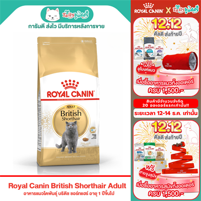 Royal Canin British Shorthair Adult อาหารแมวโตพันธุ์ บริติช ชอร์ทแฮร์ อายุ 1 ปีขึ้นไป