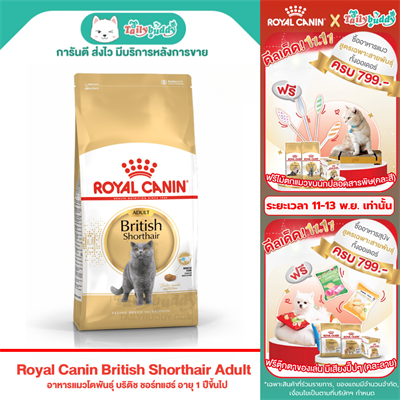 Royal Canin British Shorthair Adult อาหารแมวโตพันธุ์ บริติช ชอร์ทแฮร์ อายุ 1 ปีขึ้นไป