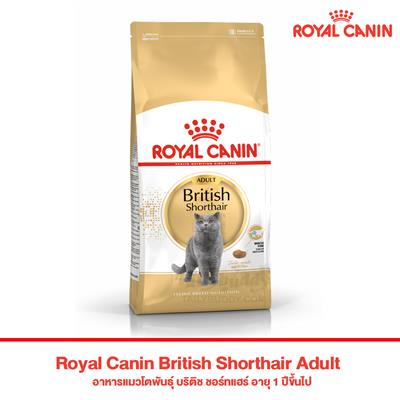 Royal Canin British Shorthair Adult อาหารแมวโตพันธุ์ บริติช ชอร์ทแฮร์ อายุ 1 ปีขึ้นไป