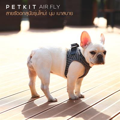 PETKIT AIR FLY สายรัดอกรุ่นใหม่ ใช้เทคโนโลยีทอผ้าแบบ 3 มิติ นุ่มหนา แต่น้ำหนักเบา แข็งแรง สีเทาดำ