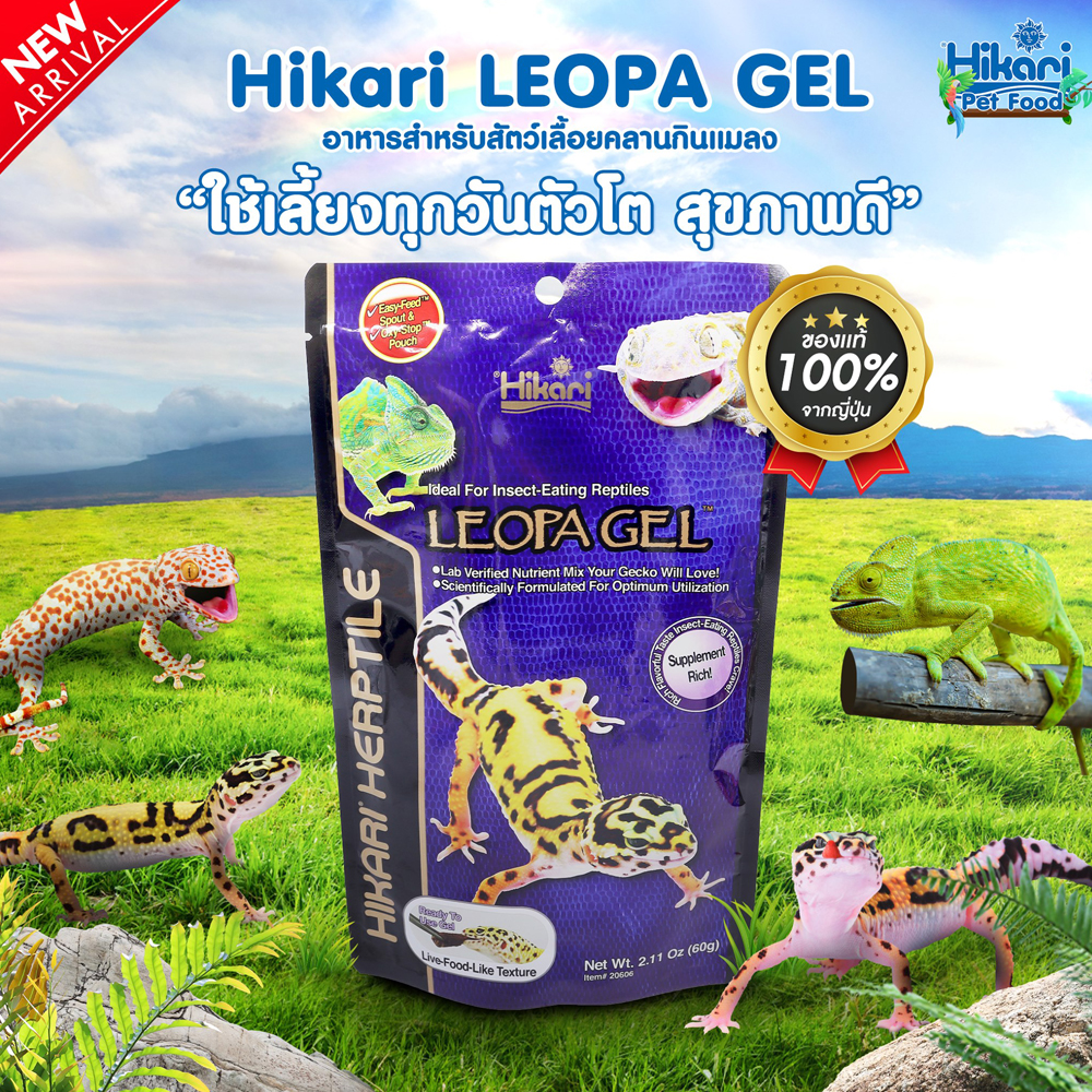 Hikari Herptile Leopa Gel อาหารสัตว์เลื้อยคลานกินแมลง อาหารตุ๊กแก Leopard Gecko ใช้เลี้ยงทุกวัน สุขภาพดี (60g)