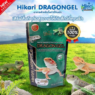 Hikari Herptile Dragon Gel อาหารสัตว์เลื้อยคลาน อาหารกิ้งก่า ที่กินผัก และแมลง Bearded Dragons (แบบเจล) (60g)