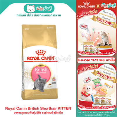 Royal Canin British Shorthair Kitten อาหารลูกแมวพันธุ์บริติช ชอร์ตแฮร์ อายุ 4-12 เดือน แบบเม็ด