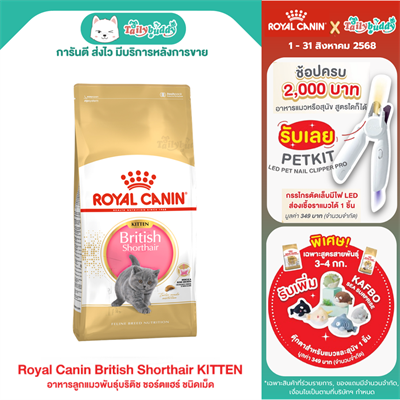 Royal Canin British Shorthair Kitten อาหารลูกแมวพันธุ์บริติช ชอร์ตแฮร์ ชนิดเม็ด