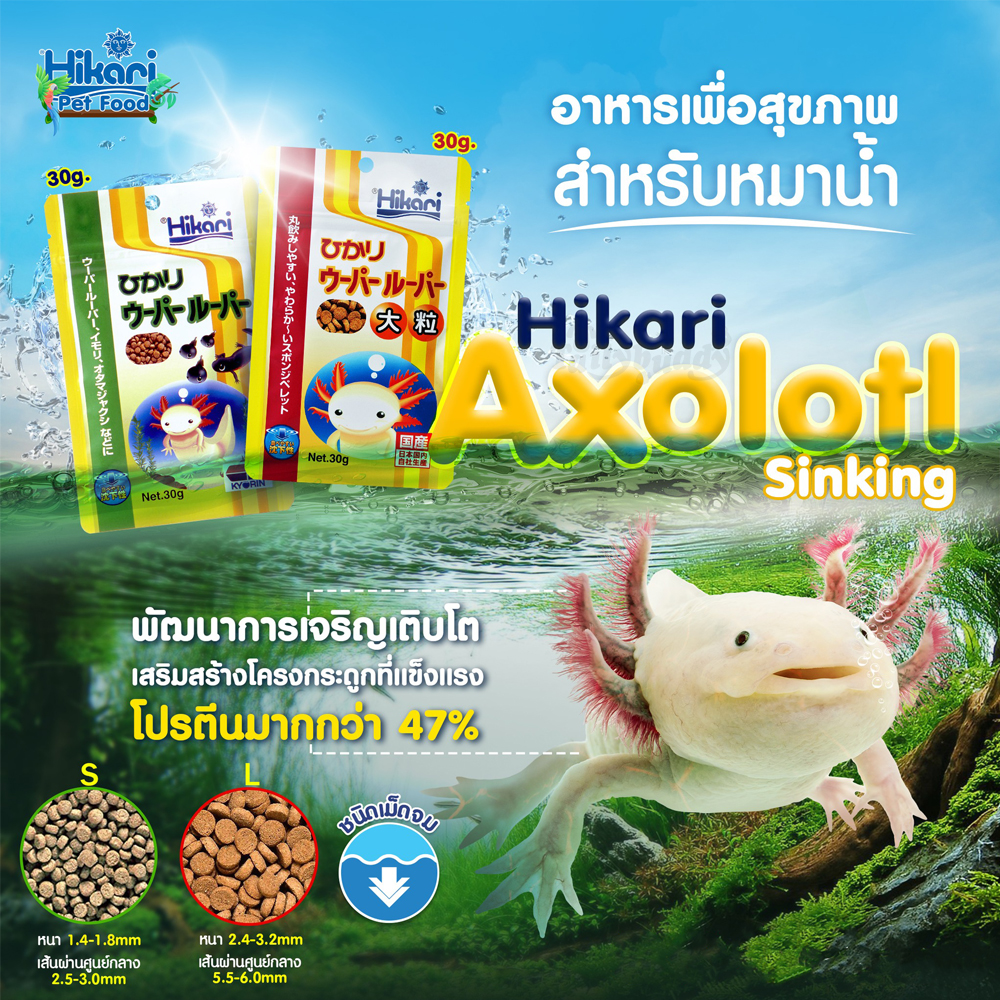 Hikari Axolotl อาหารเม็ด สำหรับหมาน้ำ อาหารซาลาแมนเดอร์ (แบบจม) (30g) (เม็ด S, เม็ด L)