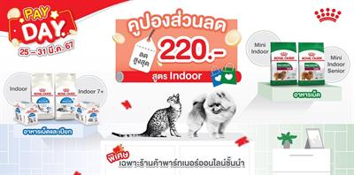 Royal Canin Indoor Sterilised 7+ (Jelly) Wet food for indoor cats over 7 years old (85g)