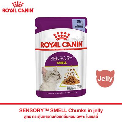 Royal Canin SENSORY SMELL อาหารแมวแบบเปียก สำหรับแมวช่างเลือก กระตุ้นการกินด้วยกลิ่นหอมเฉพาะ (เจลลี่) (85g)