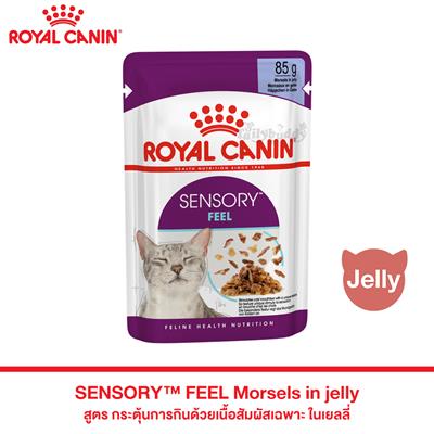 Royal Canin SENSORY FEEL อาหารแมวแบบเปียก สำหรับแมวช่างเลือก กระตุ้นการกินด้วยเนื้อสัมผัสเฉพาะ (เจลลี่) (85g)