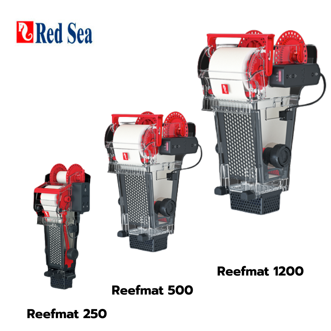 ใหม่_68_-_2025-08-07T161748.