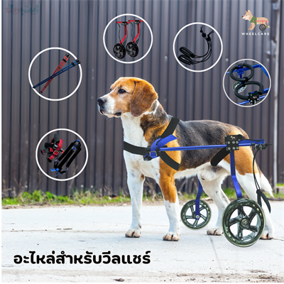 WHEELCARE - wheelchair dog อะไหล่