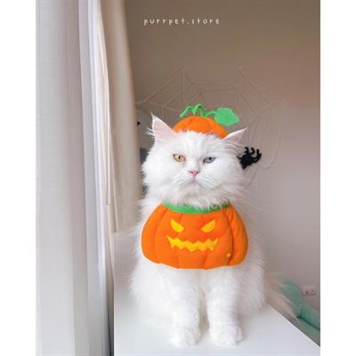 (พร้อมส่ง) purrpet Pumpkin (ไฟกระพริบ) ชุดแมวฮาโลวีน ชุดสุนัข Halloween ผ้าผูกคอ+หมวก ผ้านิ่ม