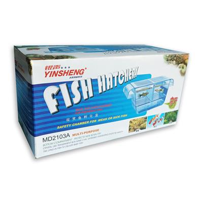 YINSHENG Fish Hatchery - Transparent box make it an extremely interesting event to watch the lying-fish to delivery baby fish
