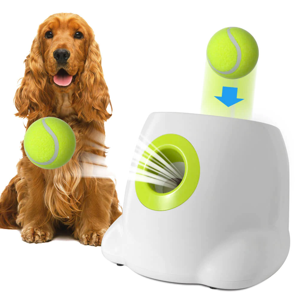 Afp Automatic Ball Launcher For Dogs