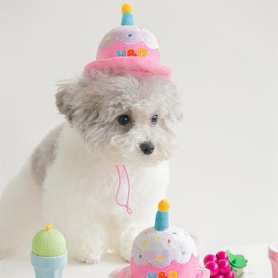 Bite Me HBD Hat Pet Toy ของเล่นเค้กวันเกิด สำหรับสุนัข นำเข้าจากเกาหลี 🇰🇷