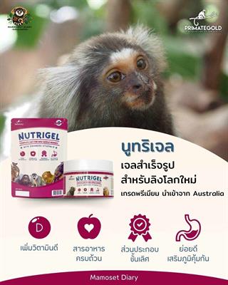 NutriGel อาหารลิง รูปแบบเจลสำเร็จรูปสำหรับลิง เหมาะกับลิงหลายสายพันธุ์ เช่นมาโมเสท ทามารีน คาปูชิน ลิงกระรอก บุชเบบี้