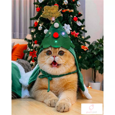 (Pre-order 2-3 วัน) Purrpet หมวกต้นคริสต์มาส (ไฟกระพริบ) - Christmas Collection