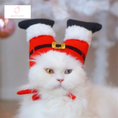 (Pre-order 2-3 วัน) Purrpet หมวกตูดคุณลุงซานต้า Free size  - Christmas Collection