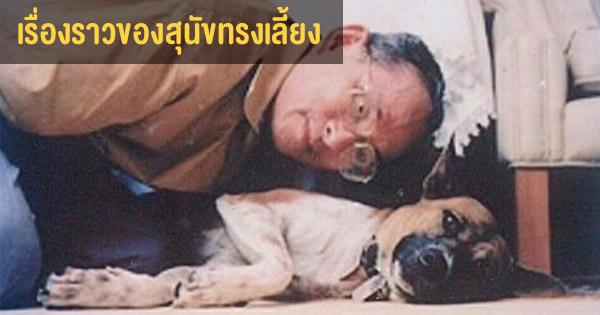 สุนัขพันธุ์ “ไทยซูเปอร์บาเซนจิ” กับคำสอนของพ่อ